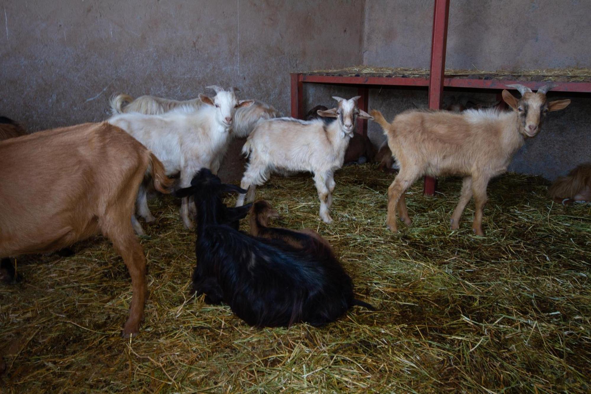 La Ferme De Lalladom Tameslouht Ngoại thất bức ảnh
