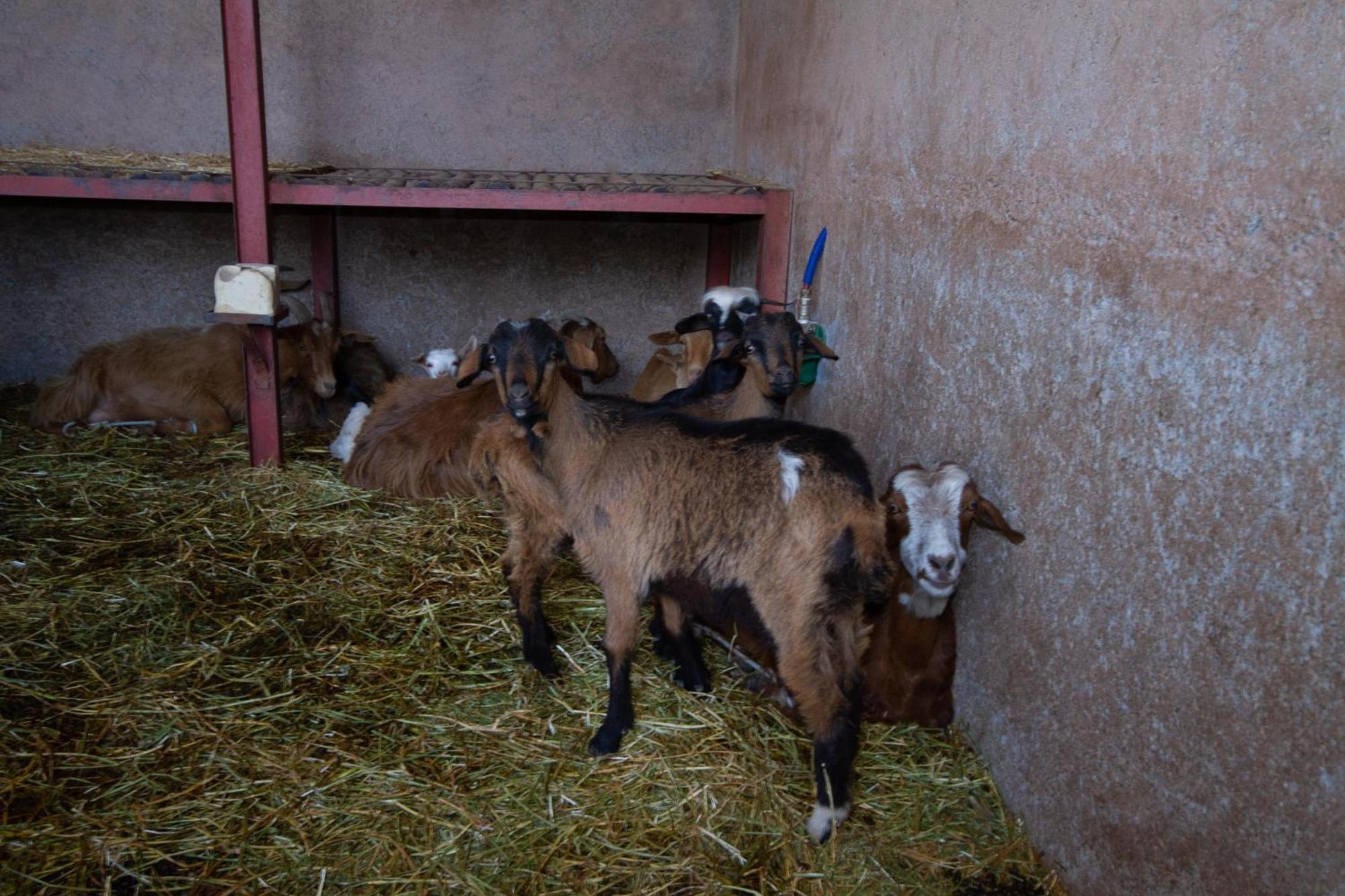 La Ferme De Lalladom Tameslouht Ngoại thất bức ảnh