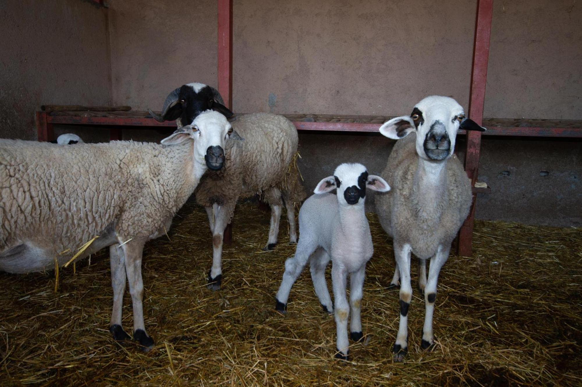 La Ferme De Lalladom Tameslouht Ngoại thất bức ảnh