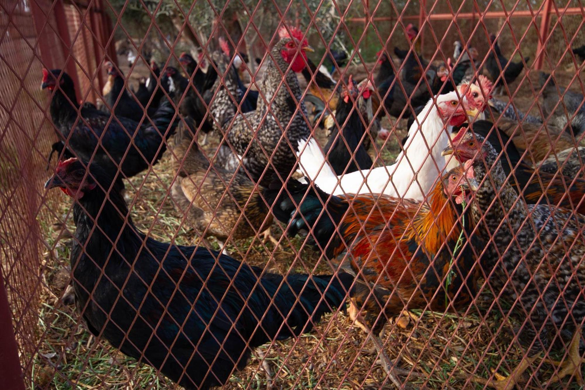 La Ferme De Lalladom Tameslouht Ngoại thất bức ảnh