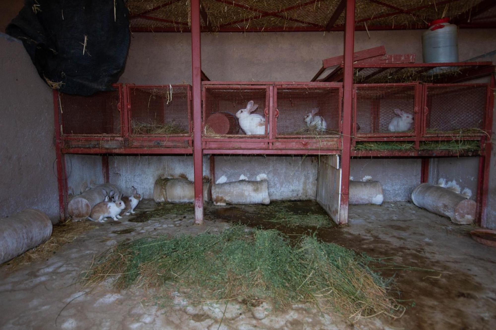 La Ferme De Lalladom Tameslouht Ngoại thất bức ảnh